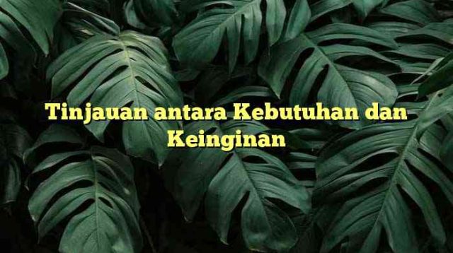 Tinjauan antara Kebutuhan dan Keinginan