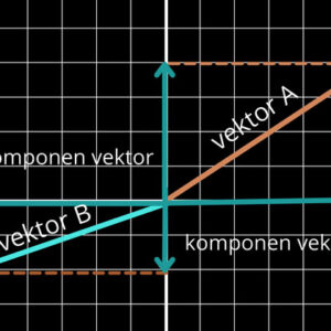 konsep dan penerapan vektor